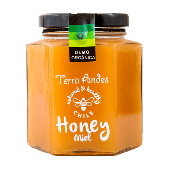 Miel Pura Ulmo Orgánica (400 grs)